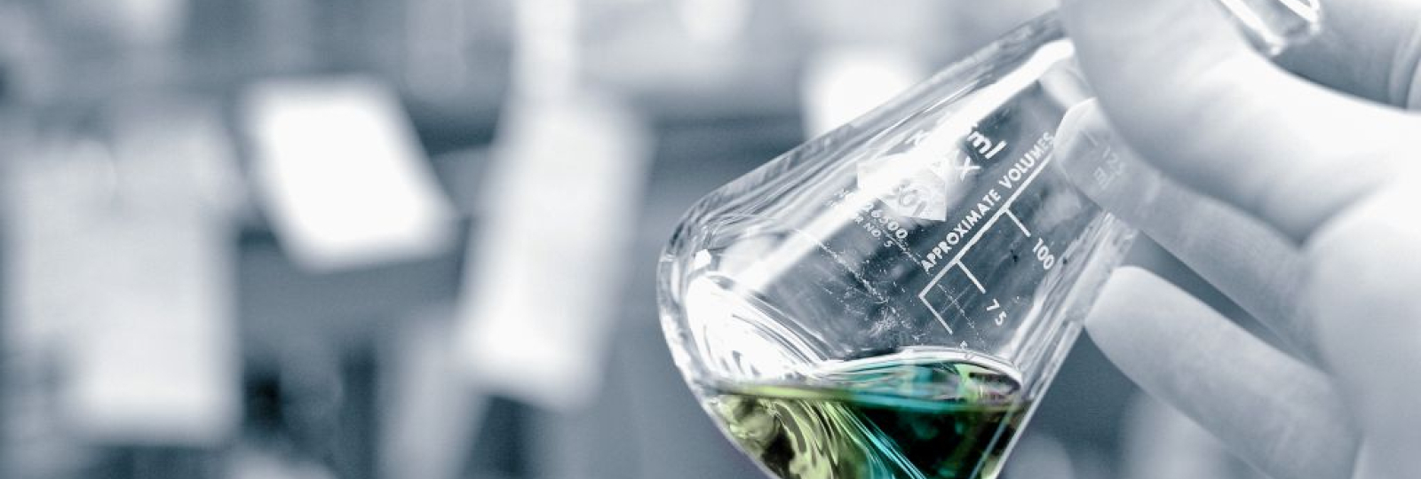 Chirality and Catalysis