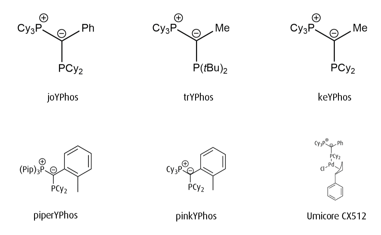 YPhos product family